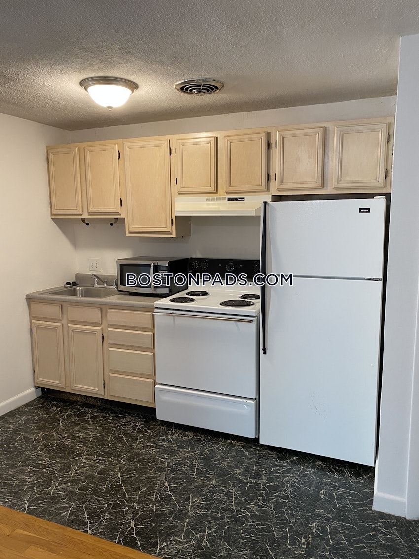 BOSTON - JAMAICA PLAIN - JAMAICA POND/PONDSIDE - 1 Bed, 1 Bath - Image 34