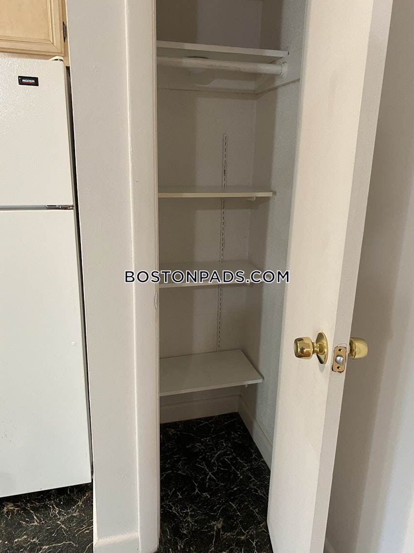 BOSTON - JAMAICA PLAIN - JAMAICA POND/PONDSIDE - 1 Bed, 1 Bath - Image 32