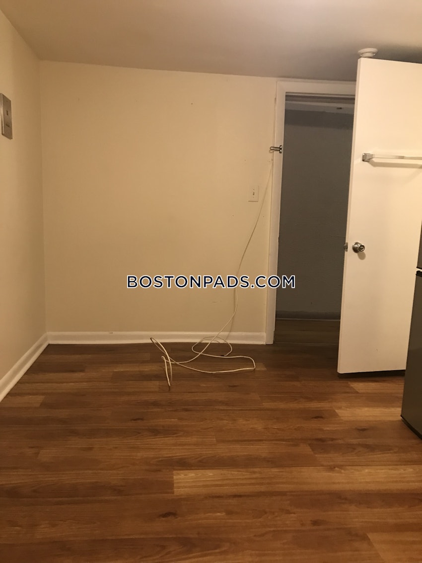 BOSTON - JAMAICA PLAIN - JAMAICA POND/PONDSIDE - Studio , 1 Bath - Image 10