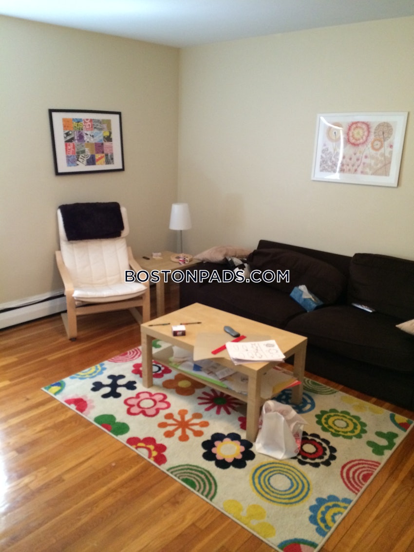 BOSTON - BRIGHTON - CLEVELAND CIRCLE - 2 Beds, 1 Bath - Image 1