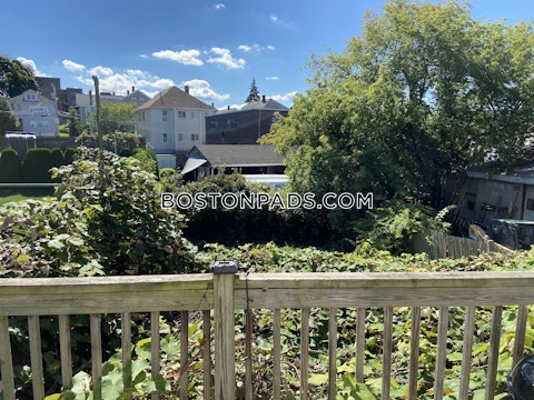 Main St. Medford photo 9