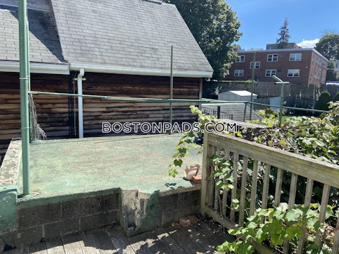 Main St. Medford photo 7