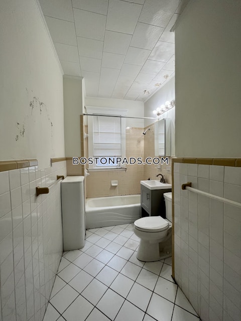 Orkney Rd. Boston photo 20