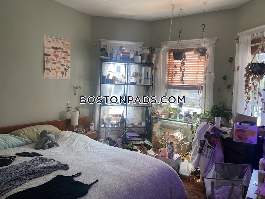 MEDFORD - TUFTS - 3 Beds, 1 Bath - Image 10