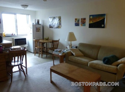 Cambridge Apartment for rent Studio 1 Bath  Davis Square - $1,950