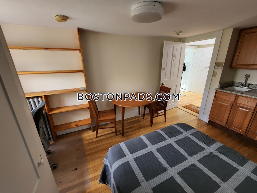 CAMBRIDGE - CENTRAL SQUARE/CAMBRIDGEPORT - Studio , 1 Bath - Image 4