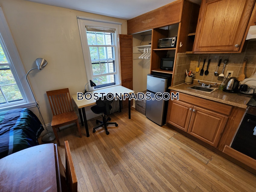 CAMBRIDGE - CENTRAL SQUARE/CAMBRIDGEPORT - Studio , 1 Bath - Image 28