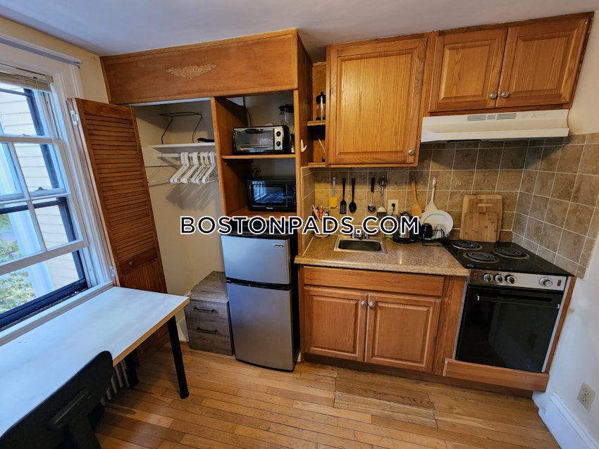 CAMBRIDGE - CENTRAL SQUARE/CAMBRIDGEPORT - Studio , 1 Bath - Image 10