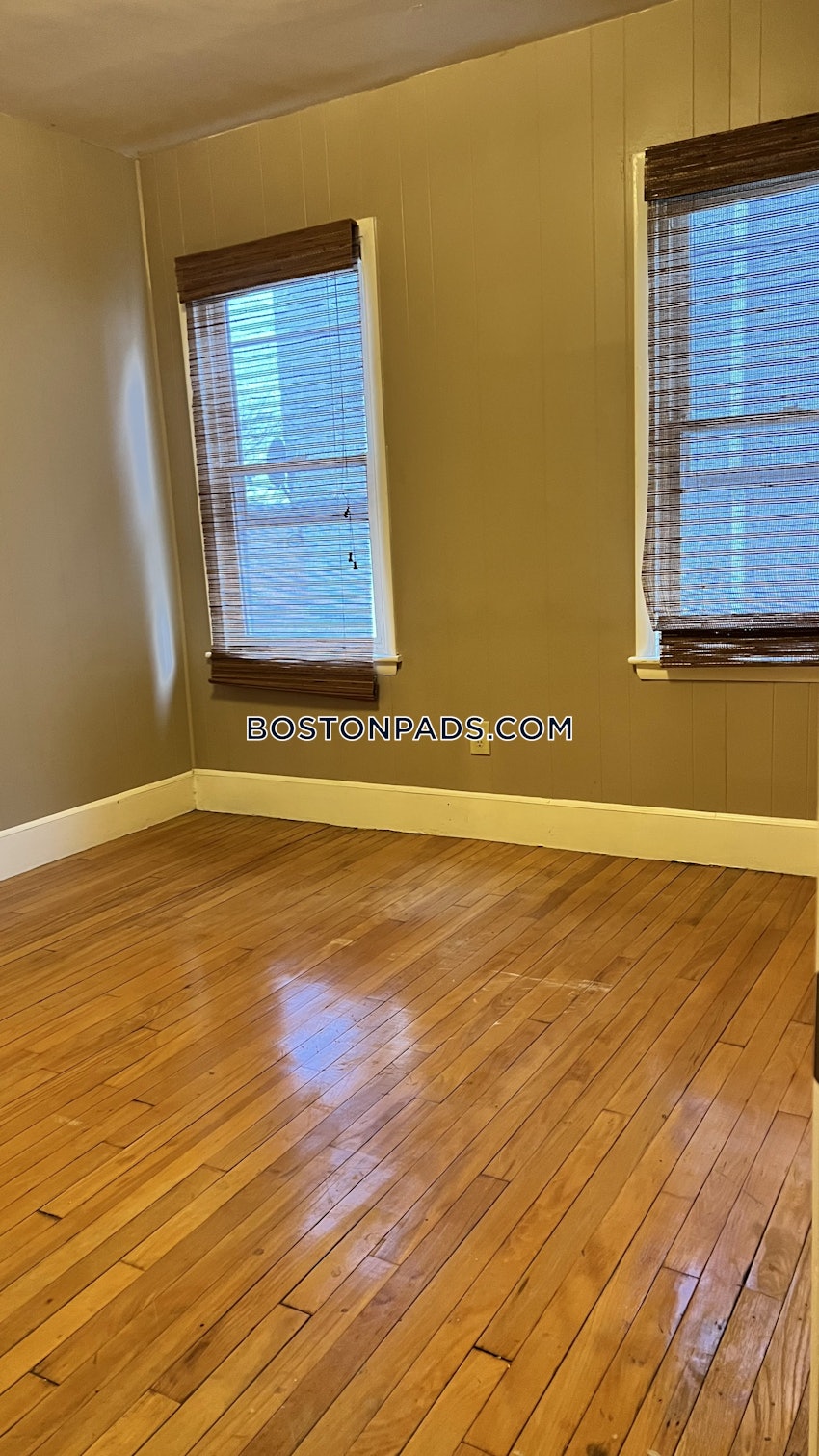 SOMERVILLE - TUFTS - 3 Beds, 1 Bath - Image 16