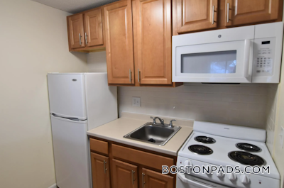 Cambridge Apartment for rent Studio 1 Bath  Mt. Auburn/brattle/ Fresh Pond - $1,900 No Fee