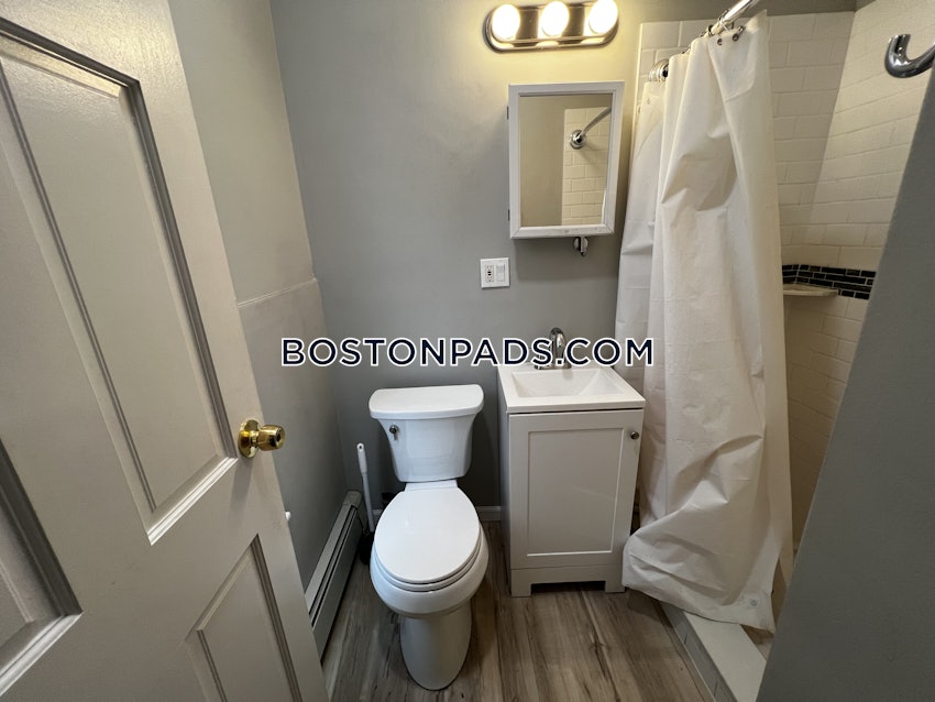 BOSTON - BRIGHTON - BRIGHTON CENTER - 1 Bed, 1 Bath - Image 28