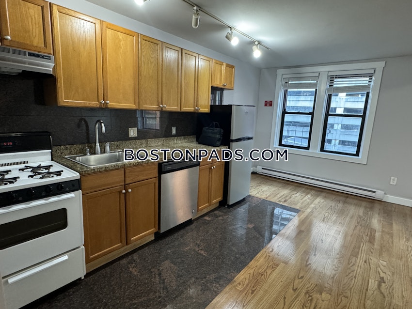 BOSTON - DOWNTOWN - 1 Bed, 1 Bath - Image 12