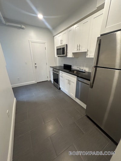 Brighton 2 Beds 1 Bath Boston - $3,195 No Fee