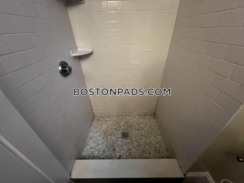 BROOKLINE- BROOKLINE VILLAGE - 1 Bed, 1 Bath - Image 10