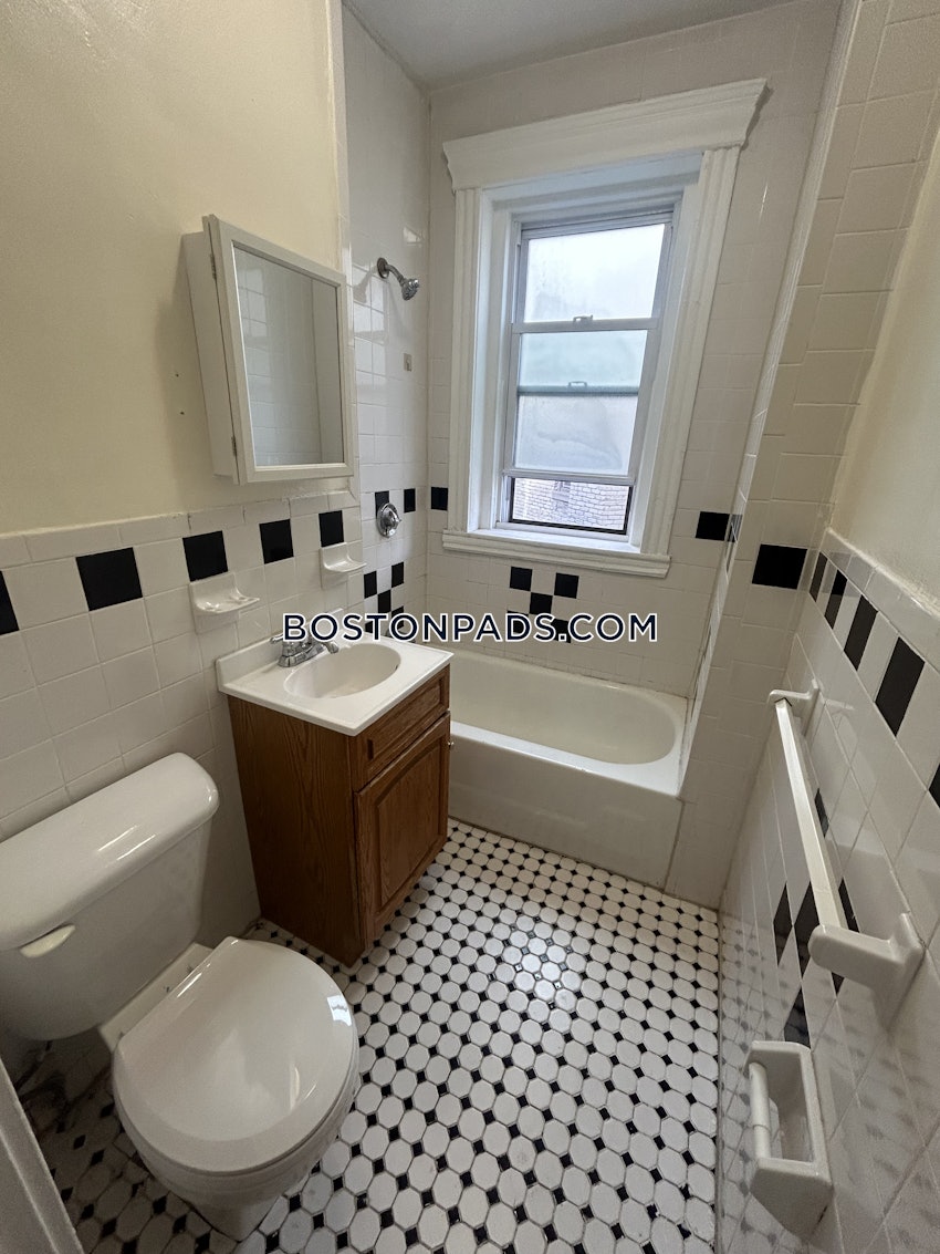 BROOKLINE- BROOKLINE VILLAGE - Studio , 1 Bath - Image 10