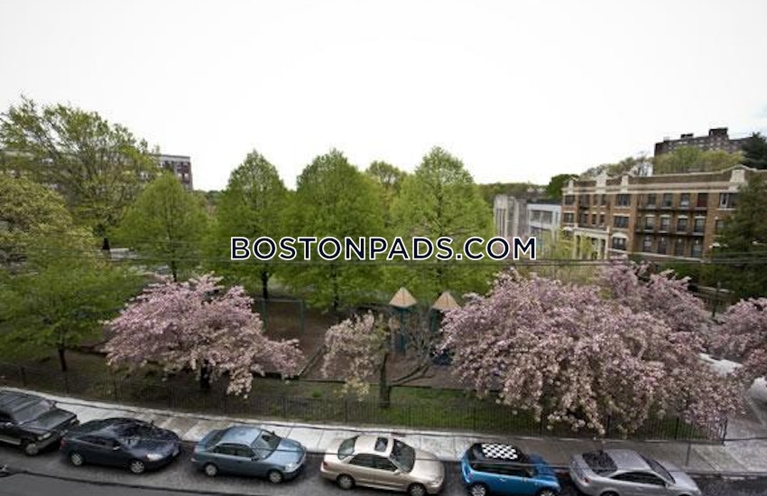 BOSTON - BRIGHTON - CLEVELAND CIRCLE - 1 Bed, 1 Bath - Image 7