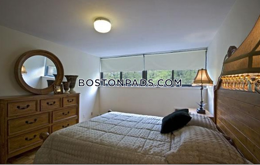 BOSTON - BRIGHTON - CLEVELAND CIRCLE - 1 Bed, 1 Bath - Image 6