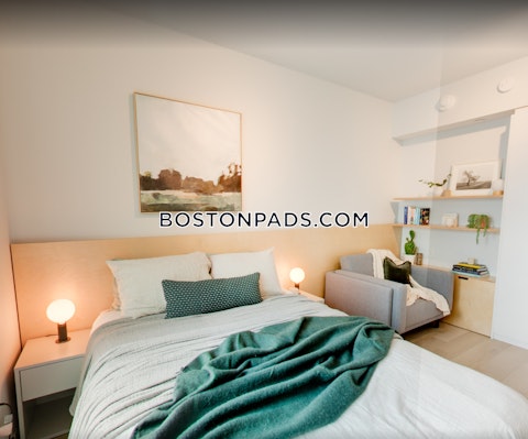 Boylston St. Boston photo 13