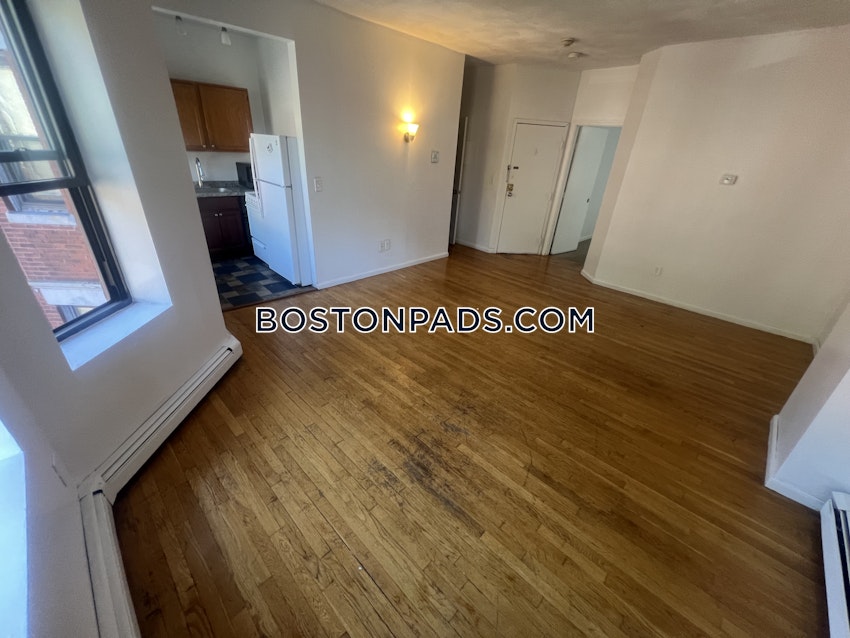 BOSTON - JAMAICA PLAIN - JAMAICA POND/PONDSIDE - 1 Bed, 1 Bath - Image 11