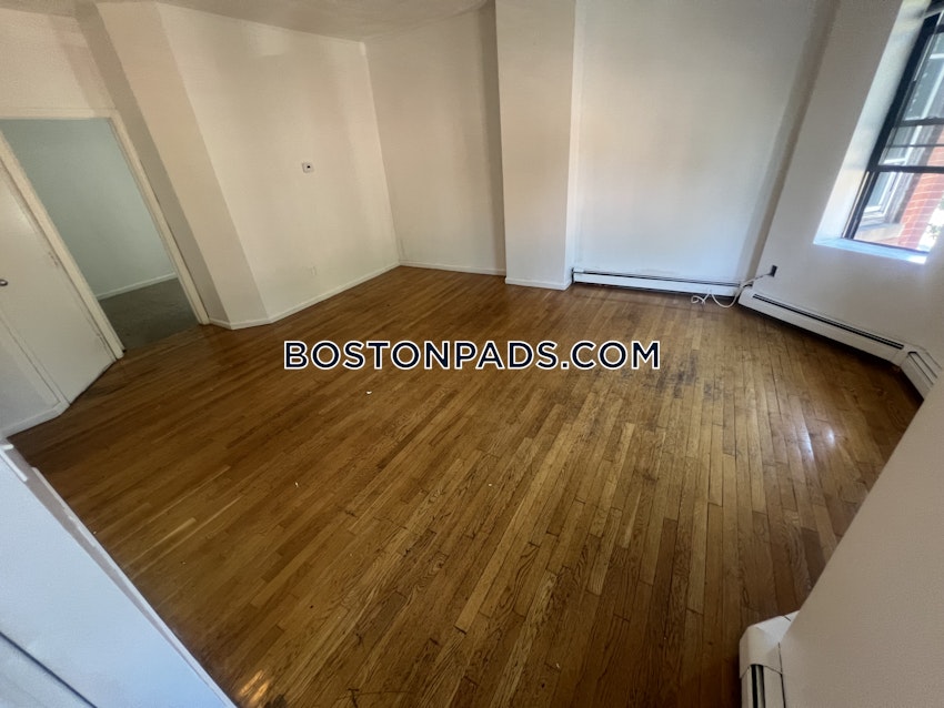 BOSTON - JAMAICA PLAIN - JAMAICA POND/PONDSIDE - 1 Bed, 1 Bath - Image 10