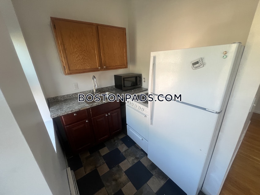 BOSTON - JAMAICA PLAIN - JAMAICA POND/PONDSIDE - 1 Bed, 1 Bath - Image 4