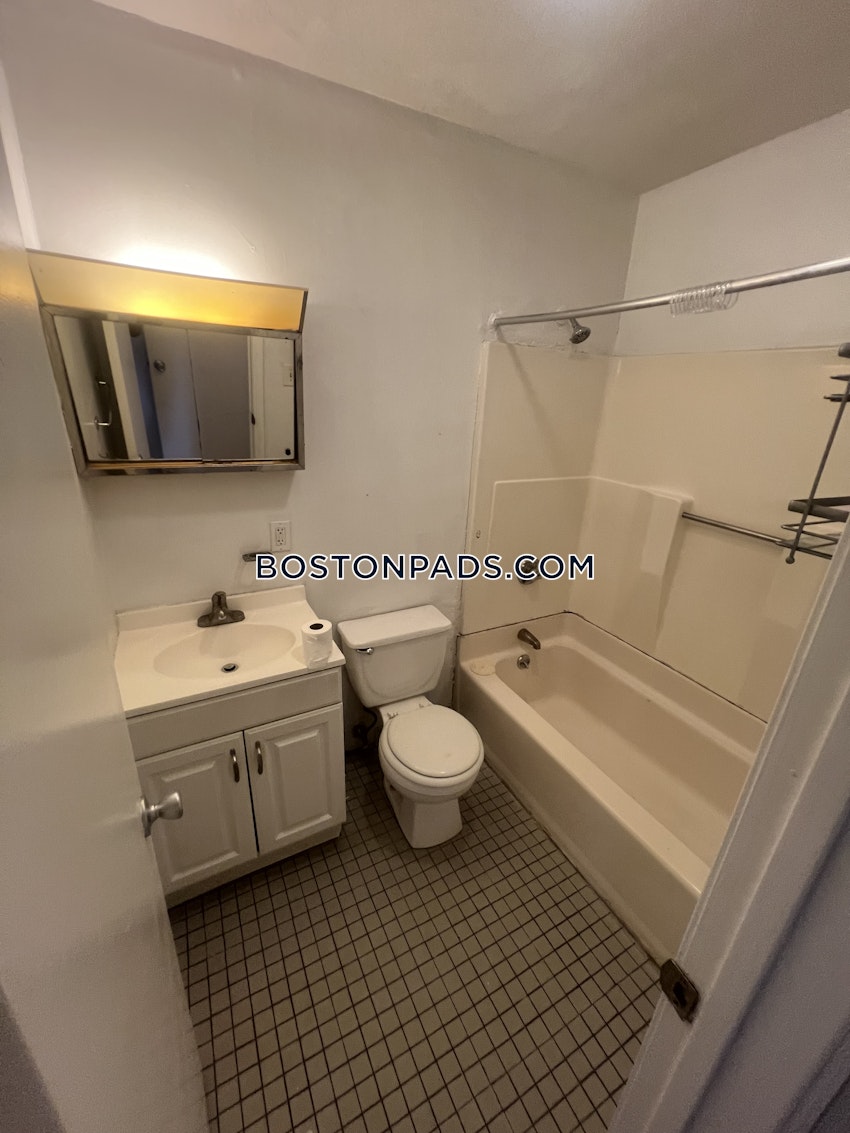 BOSTON - JAMAICA PLAIN - JAMAICA POND/PONDSIDE - 1 Bed, 1 Bath - Image 13