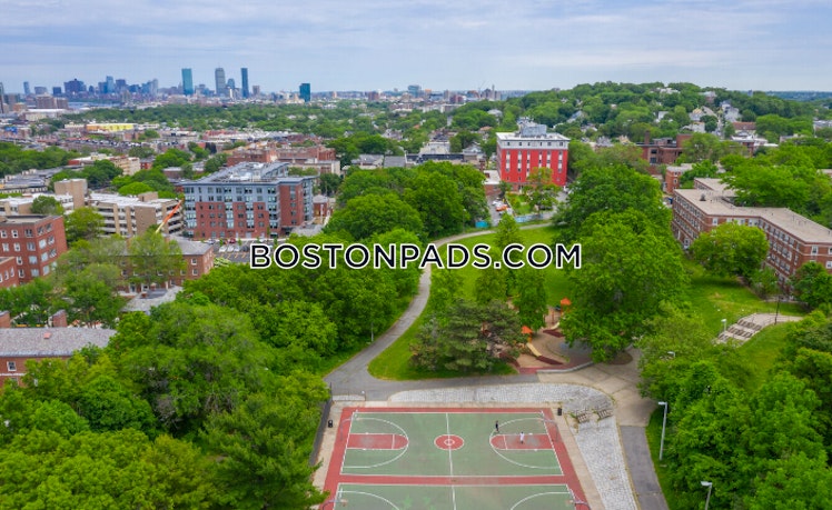 Commonwealth Ave., Boston