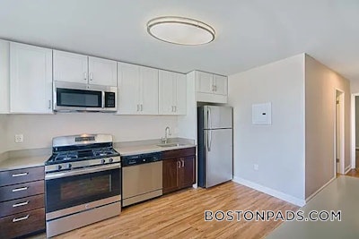 Brighton Apartment for rent 3 Bedrooms 1 Bath Boston - $3,760 No Fee