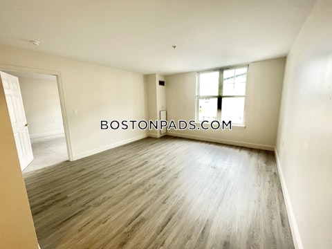 Massachusetts Ave Cambridge photo 12