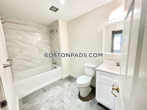 Massachusetts Ave Cambridge photo 13