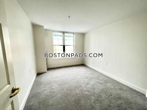 Massachusetts Ave Cambridge photo 14