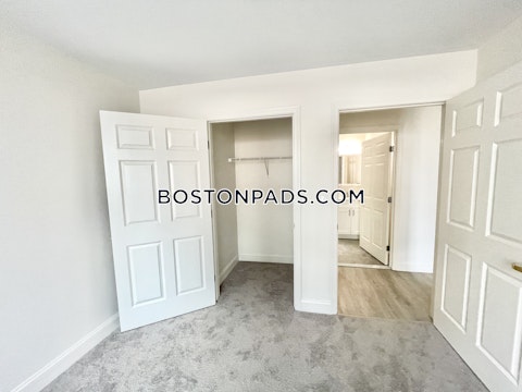 Massachusetts Ave Cambridge photo 15