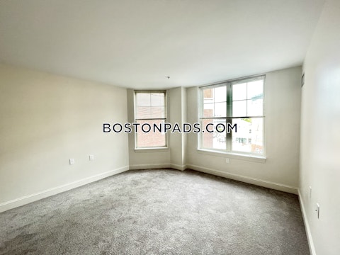 Massachusetts Ave Cambridge photo 16