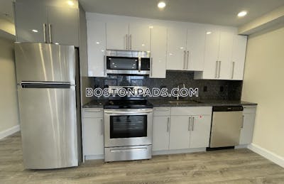 Allston Apartment for rent 1 Bedroom 2 Baths Boston - $3,100 No Fee