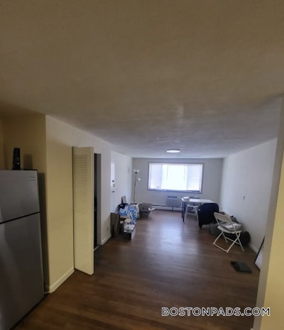 Brookline Apartment for rent 2 Bedrooms 1 Bath  Boston University - $3,175 No Fee