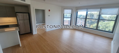 Malvern St. Boston photo 28