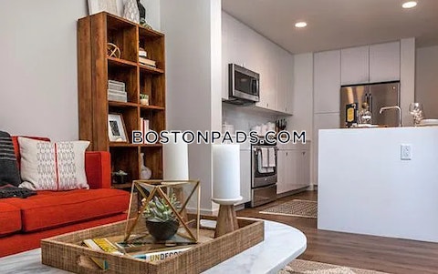 Boylston St. Boston photo 7