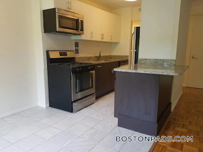 Brookline Apartment for rent 2 Bedrooms 1.5 Baths  Boston University - $3,650 No Fee