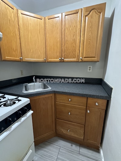 Northeastern/symphony Apartment for rent Studio 1 Bath Boston - $2,375 No Fee