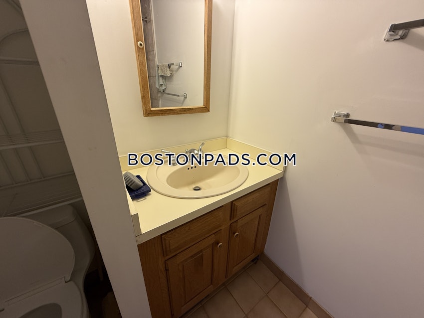 BOSTON - BRIGHTON- WASHINGTON ST./ ALLSTON ST. - 2 Beds, 2.5 Baths - Image 43