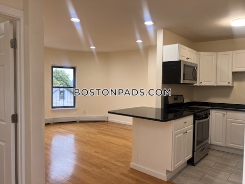 Dudley St. Boston photo 6