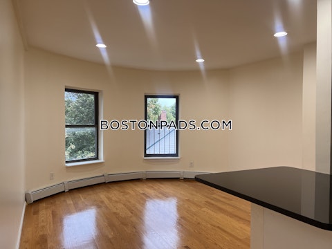 Dudley St. Boston photo 25