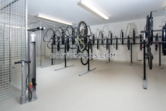 Executive Dr. Stoneham