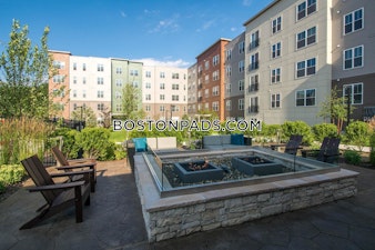 Executive Dr. Stoneham