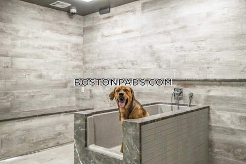 Maple St. Stoneham photo 19