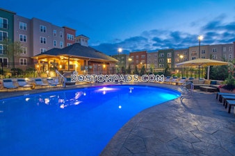 Executive Dr. Stoneham