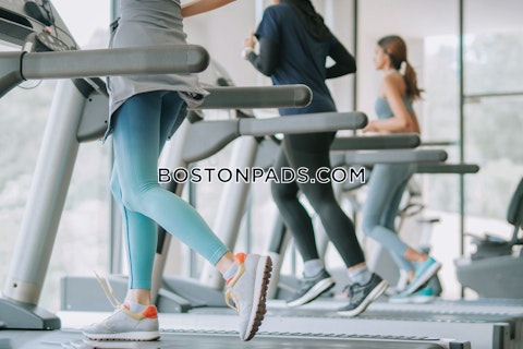 Main St. Winchester photo 16