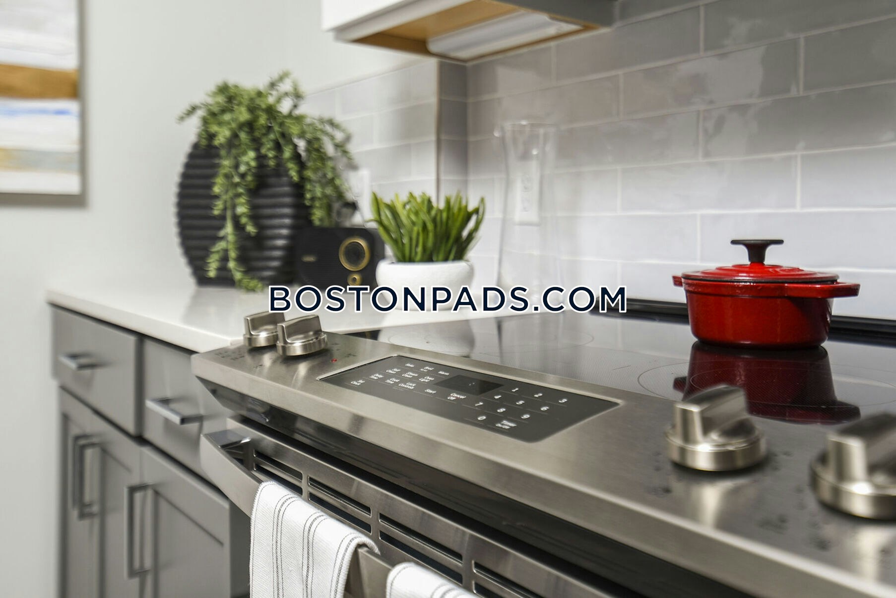 Winchester - 1 Beds, 1 Baths