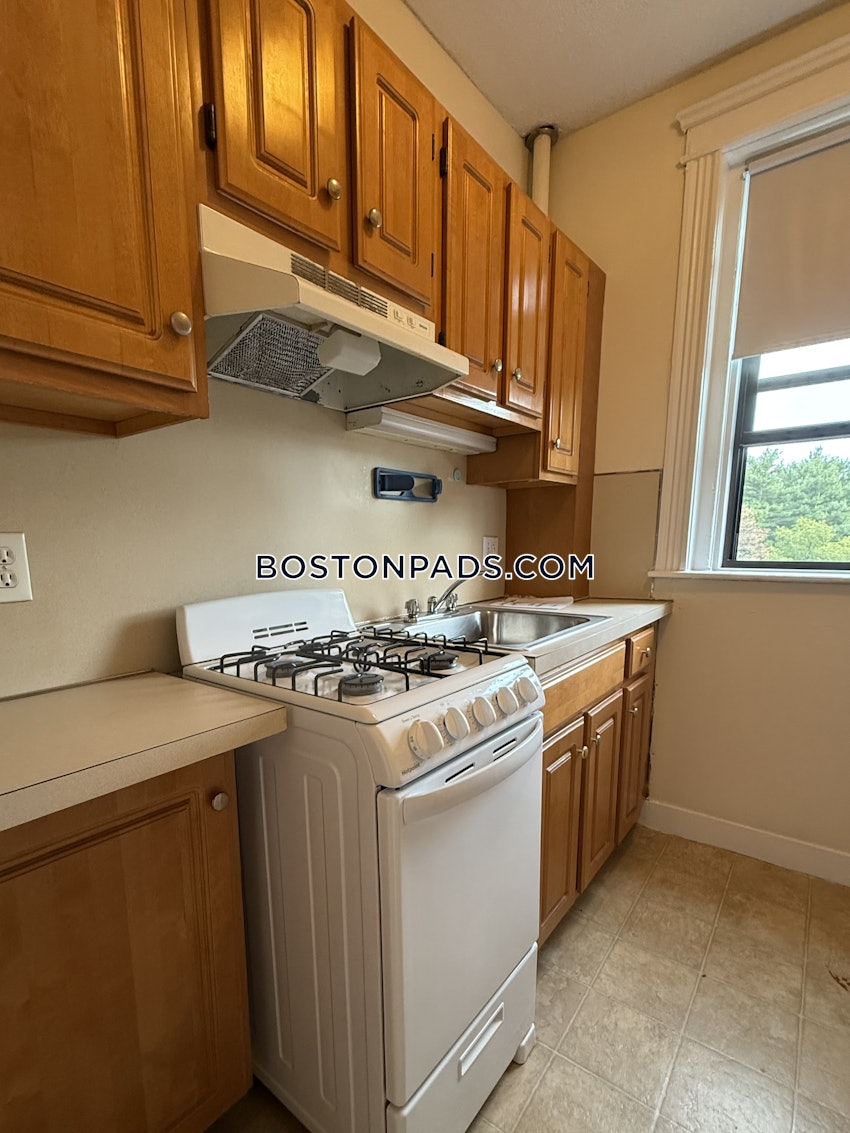 BOSTON - ALLSTON - Studio , 1 Bath - Image 7