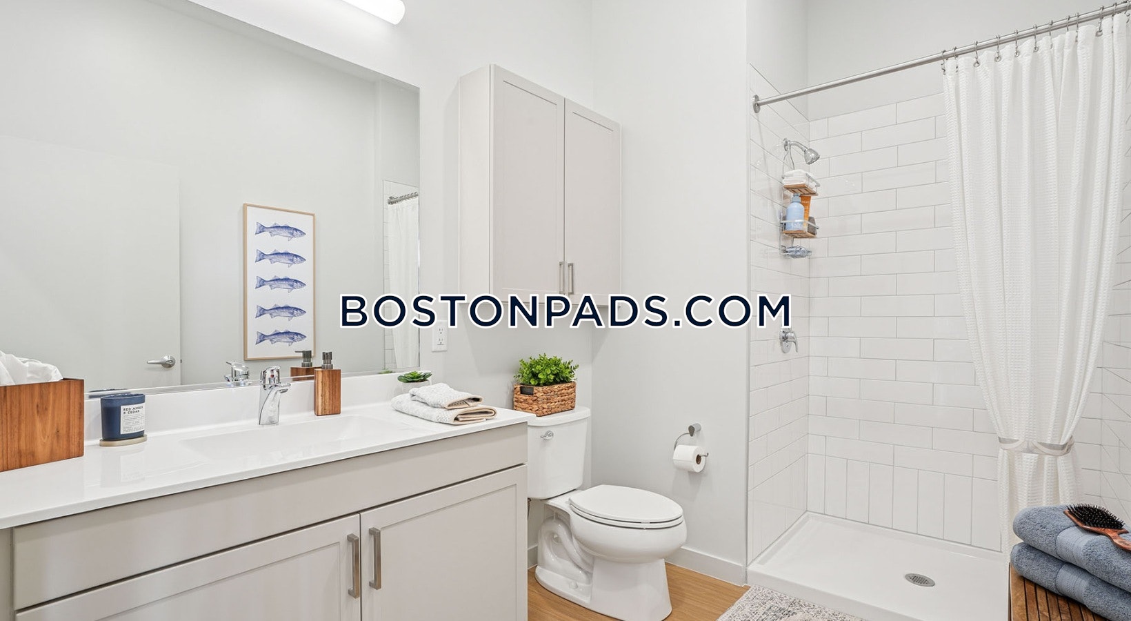 Lynn - 2 Beds, 1 Baths